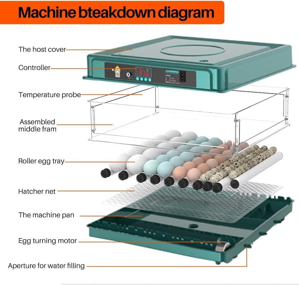 Automatic Egg Incubator 12-38 Egg Digital Poultry Hatcher Machine (12 Eggs)