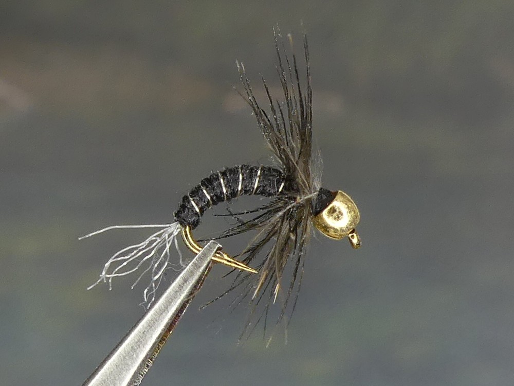 6 Flies - Bead Head Midge Pupa