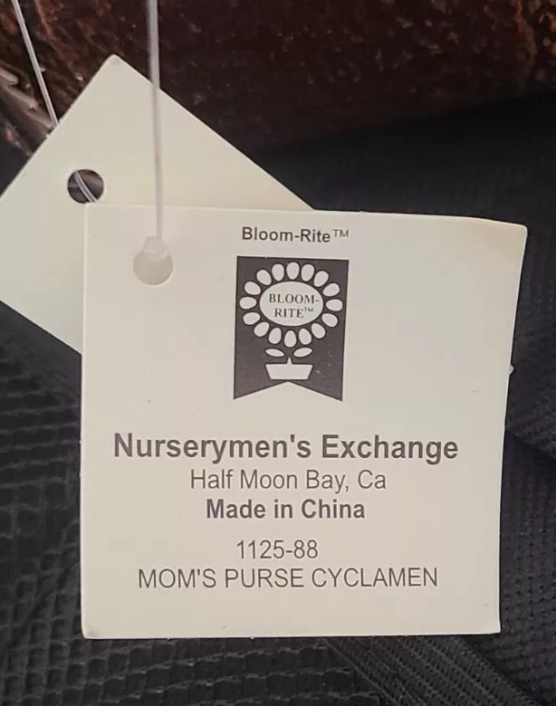Mom's Purse Cyclamen Planter Basket