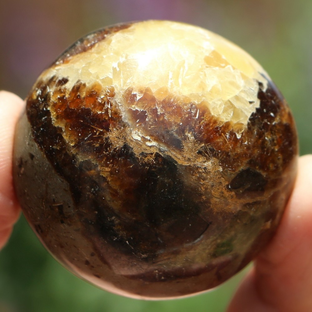 Polished Septarian Nodule (SEP96)