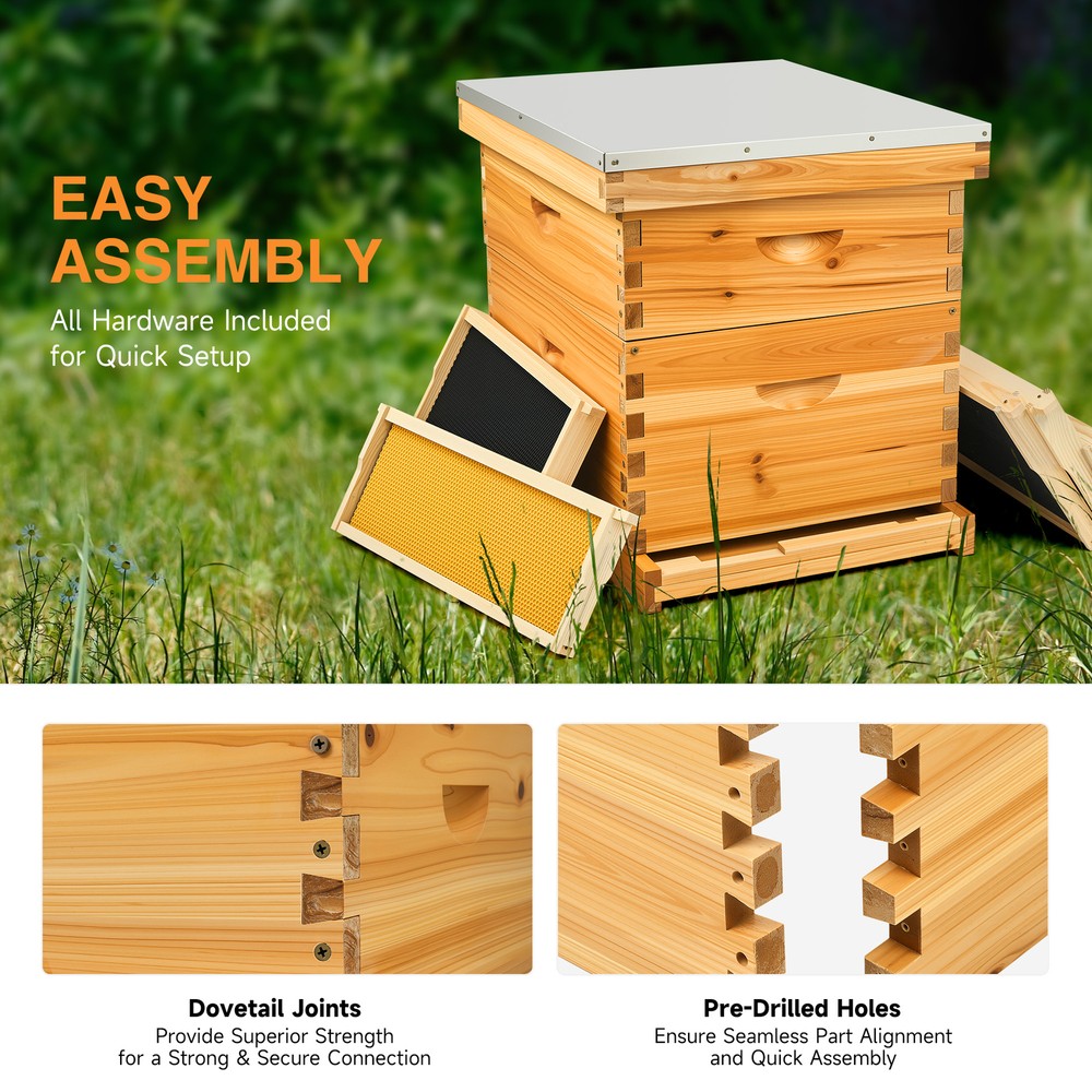 Beehive Frame BeeHive Box Kit W/ Beeswax Beekeeping 20 Frames 10 Deep+10 Medium