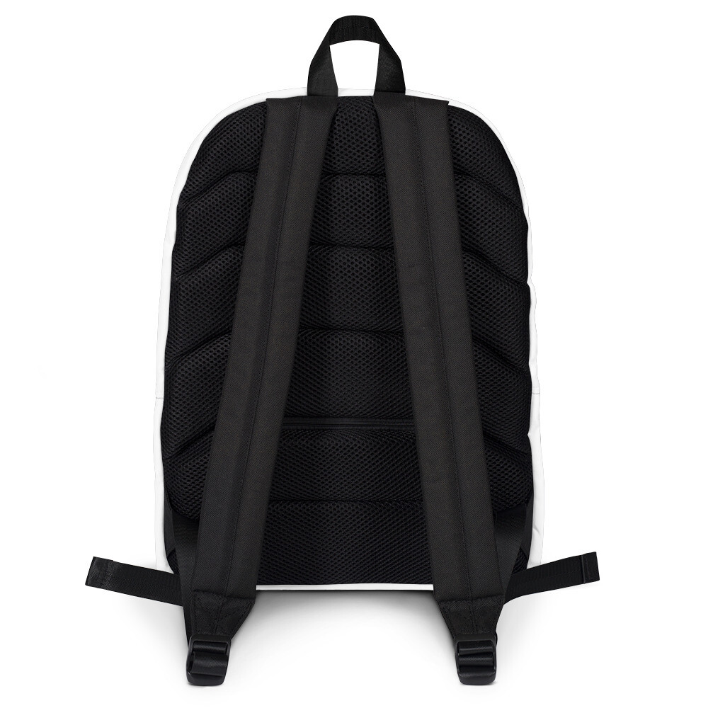 Money Bag Backpack