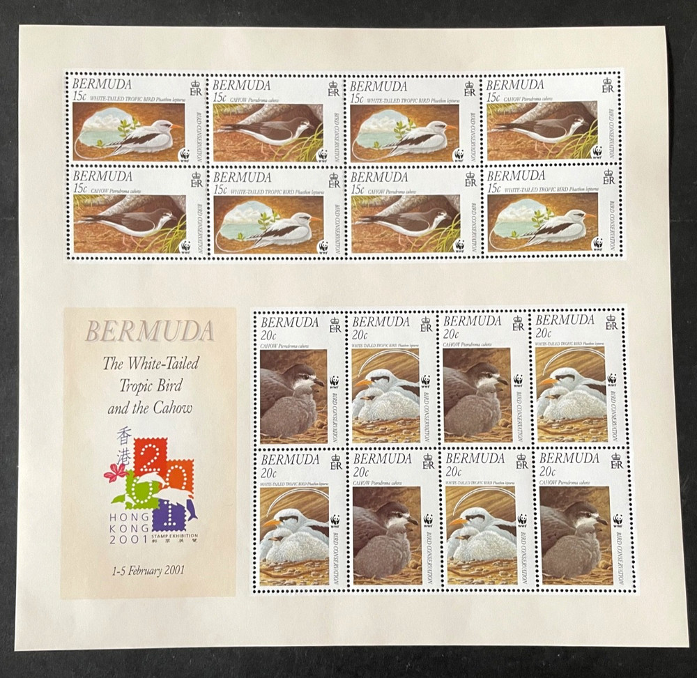 Stamps Bermuda Scott #801a never hinged