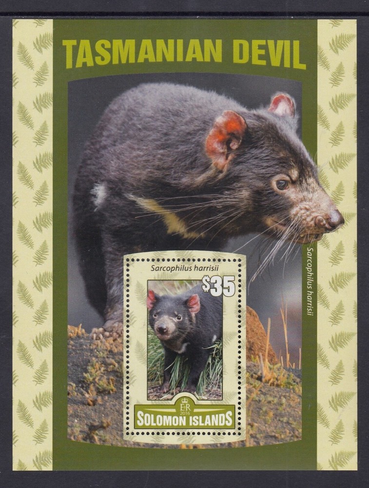 Solomon Islands: MUH Mini Sheet, 2016 $35.00 Tasmanian Devil