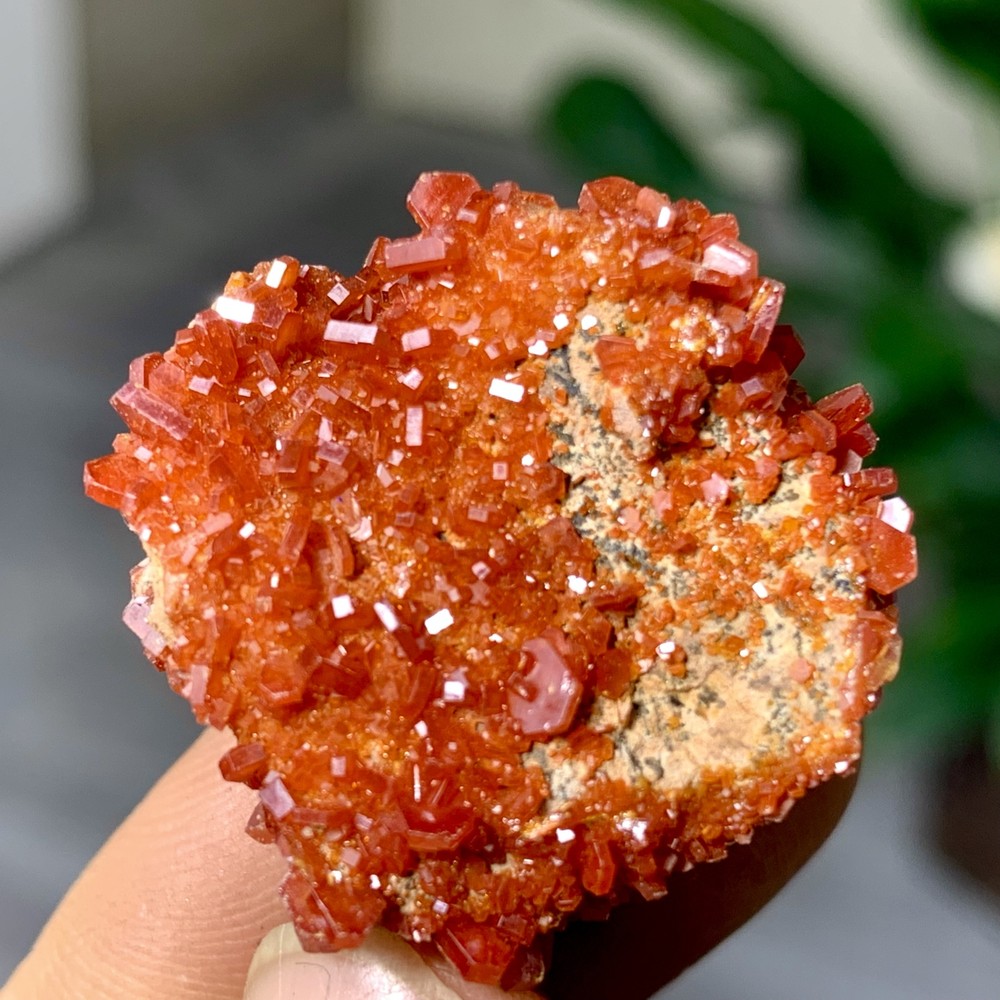 13GNatural Beautiful Vanadinite Atone Cluster Quartz Mineral SamplefromMorocco