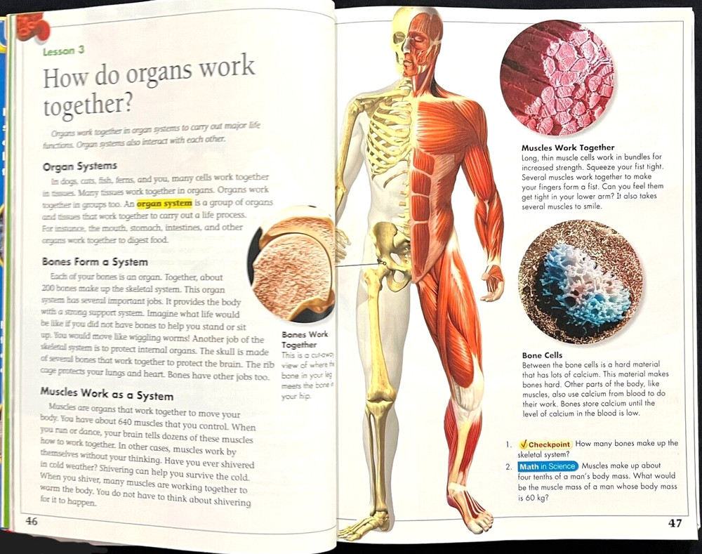 5th Grade - SCIENCE - STUDENT TEXTBOOK (2006, Scott Foresman)