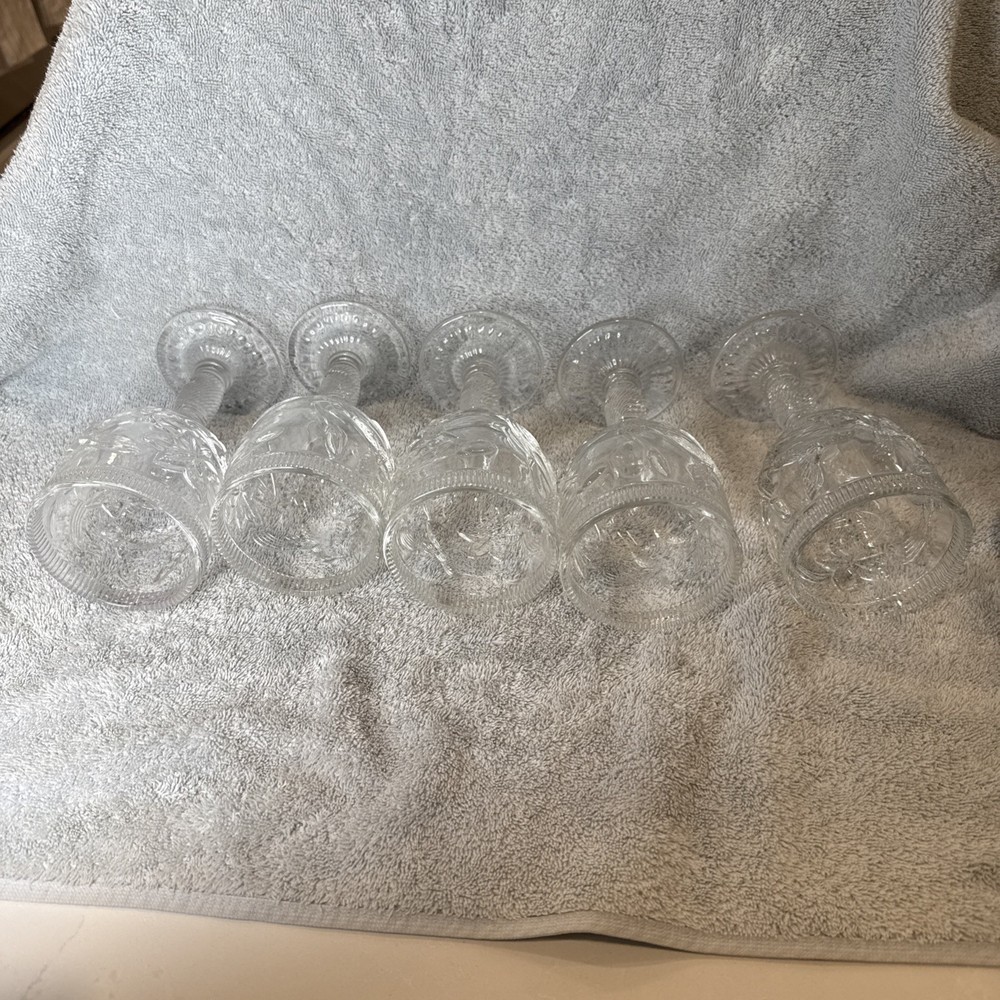 5 Hummingbird Water Glasses 7 “ Tall.