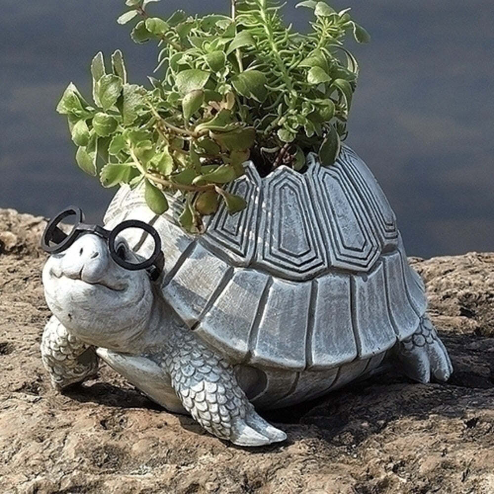 ROMAN TURTLE WITH GLASSES PLANTER-10094