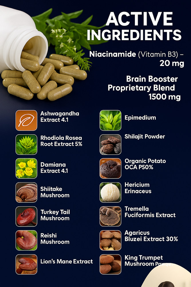 Advanced Brain Focus Memory Support Nootropic Formula for EnergyCognitive Health