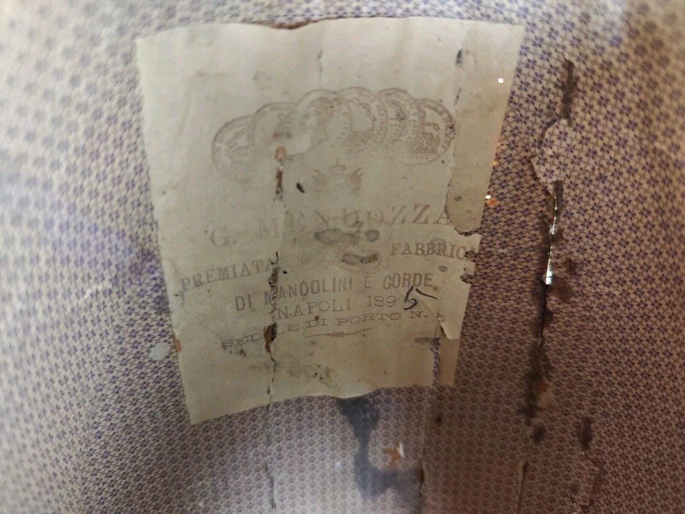 Giuseppe Mendozza 1895 Naples 4/4 Mandolin