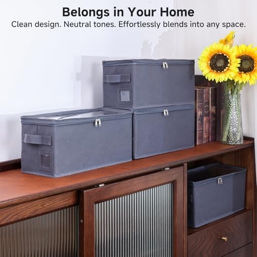 Stackable CD Storage Case Organizer with Lid & Handle - Dustproof 2-Pack, Gray
