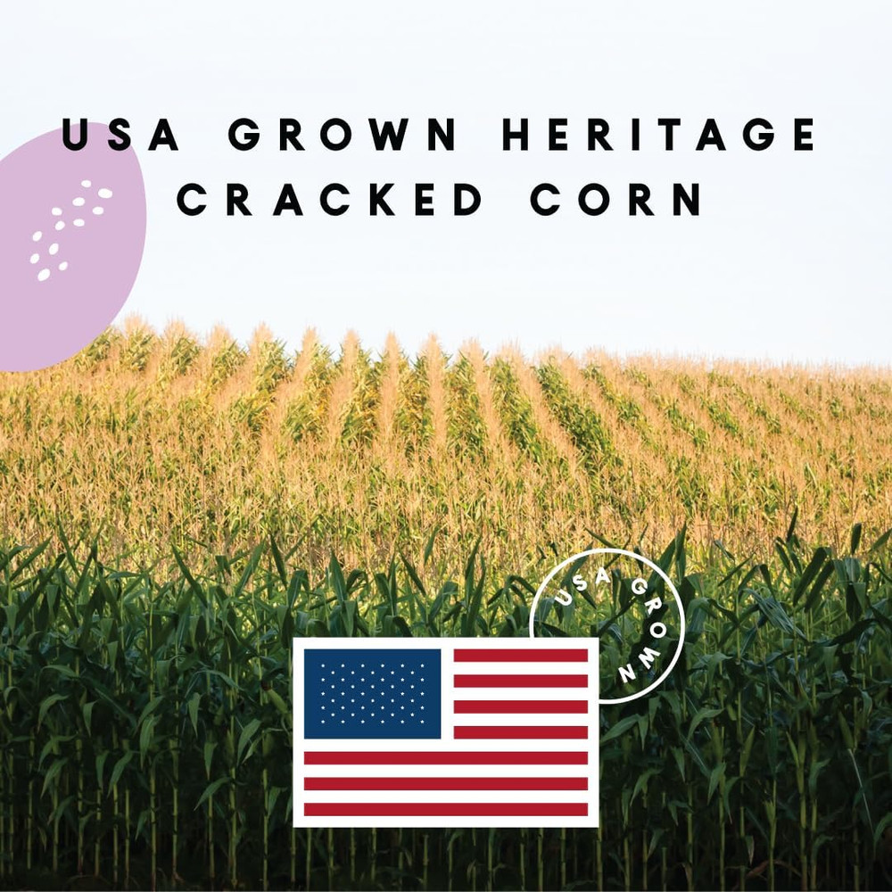 Manna Pro Cracked Corn W/Purple Corn 10Lb
