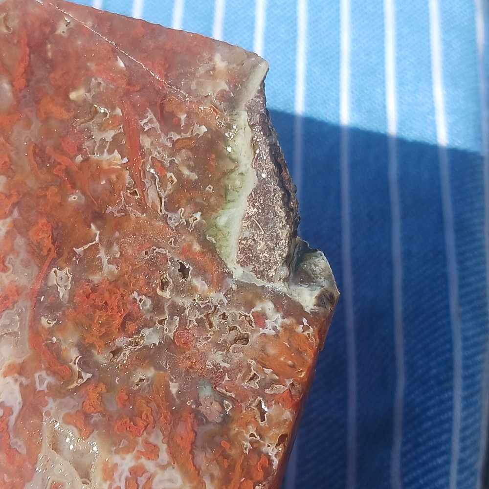 BIG Moss Agate Slab Ready For Lapidary