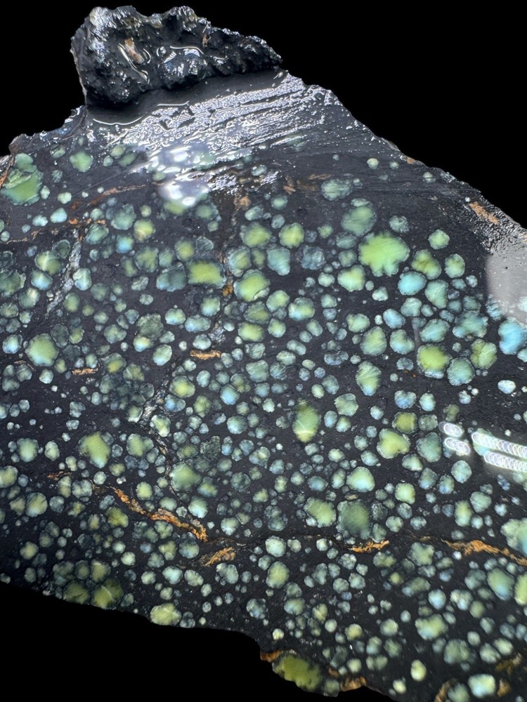 Natural Nevada Variscite rough star fox