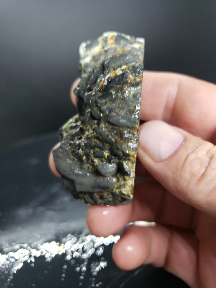 Nevada Gecko Variscite Rough