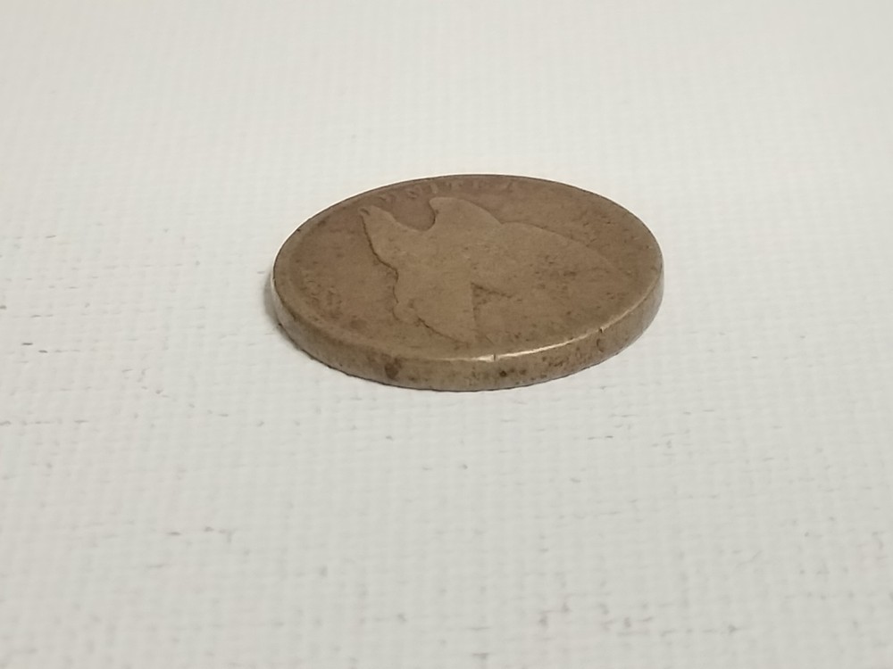 1858 Flying Eagle Cent US Coin (Small Letters?)