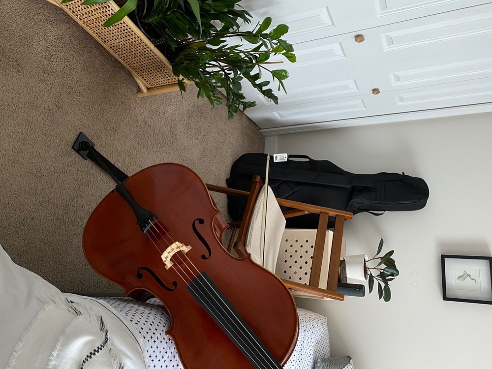 cello 4/4 fullsize strings  