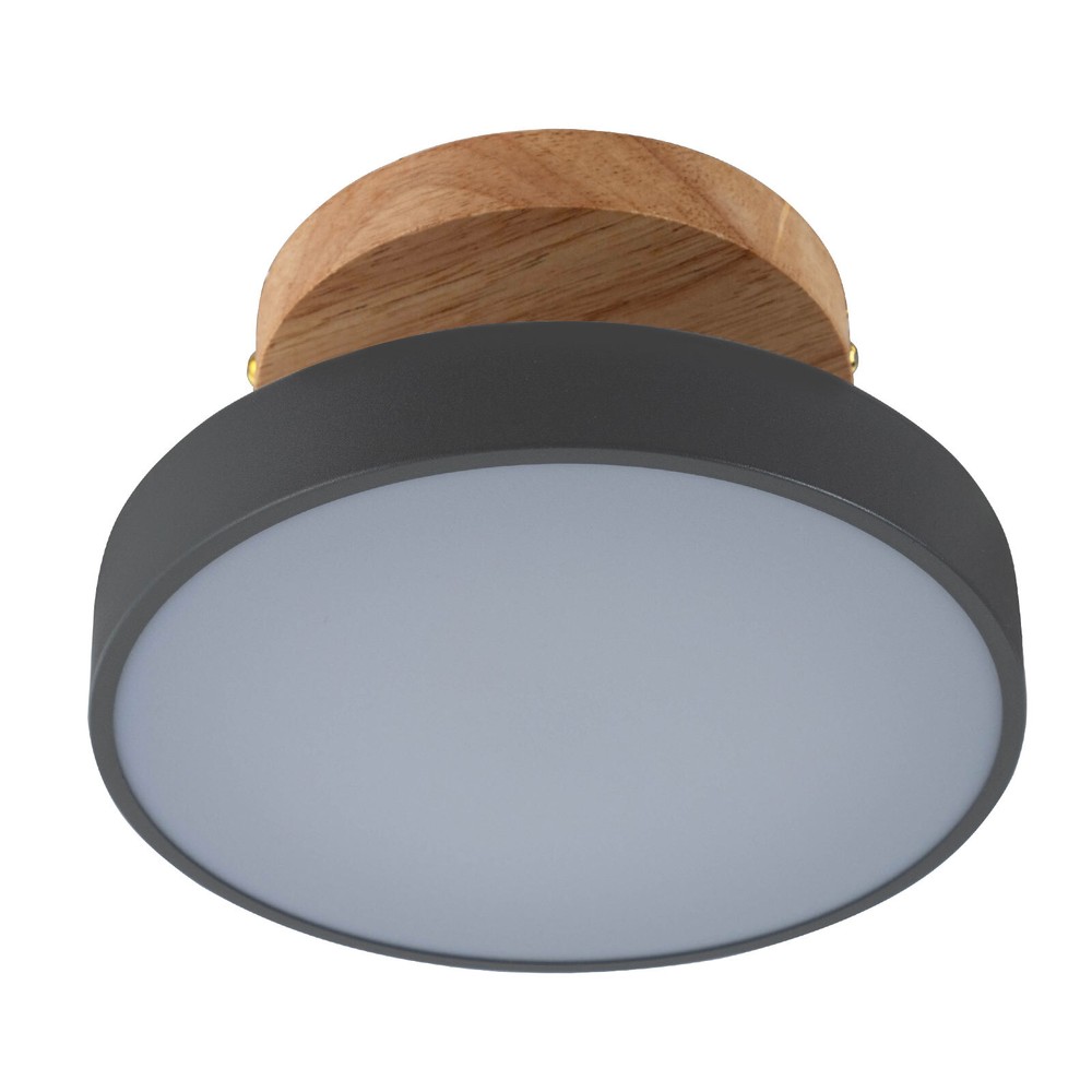 4.72 In Led Ceiling Light Adjustable Color & Brightness Ceiling Light Fixtures