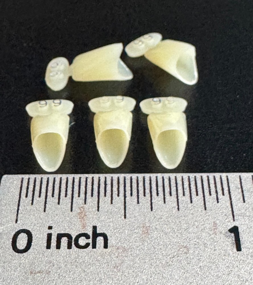 Dental Polycarbonate Temporary Crowns  5 pcs #66