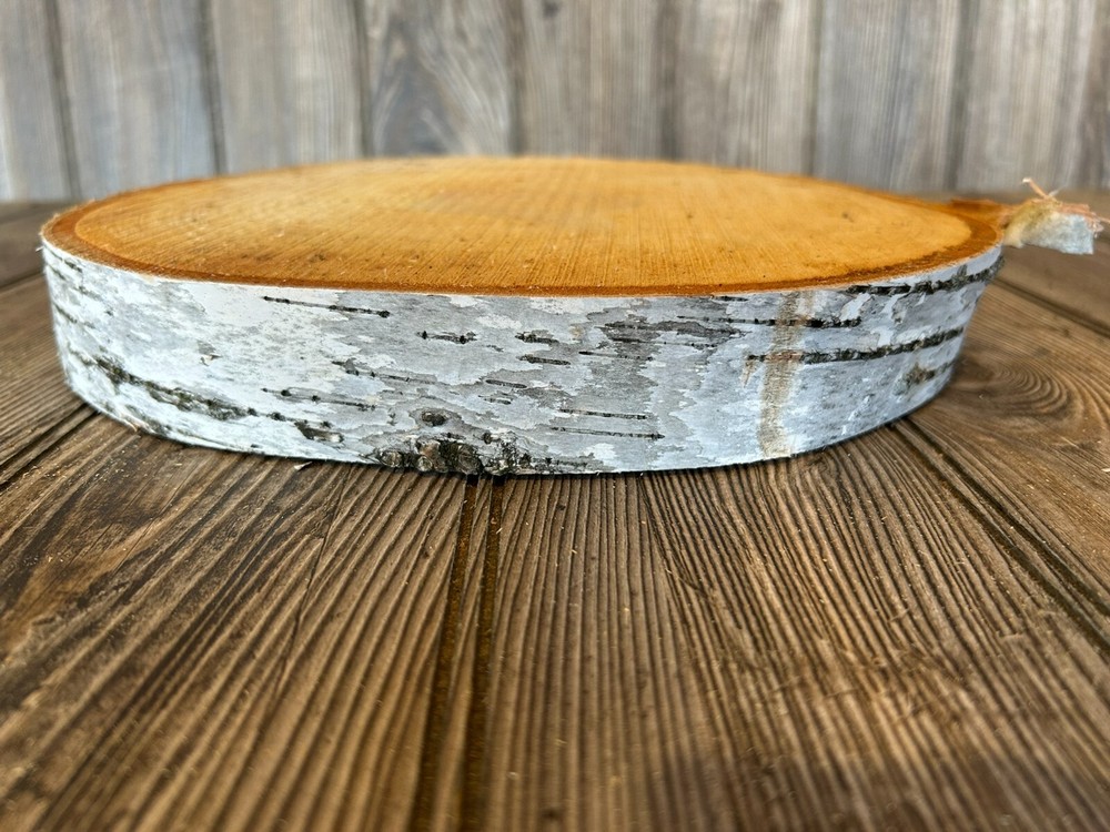 White Birch Slice Approximately 10 Inches Diameter