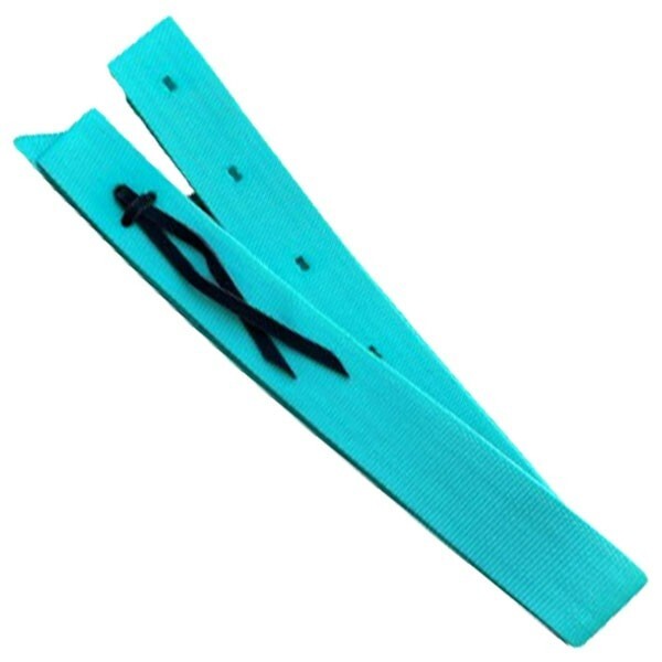 Tie Strap, Poly Web 2" x 6' Turquoise #45492