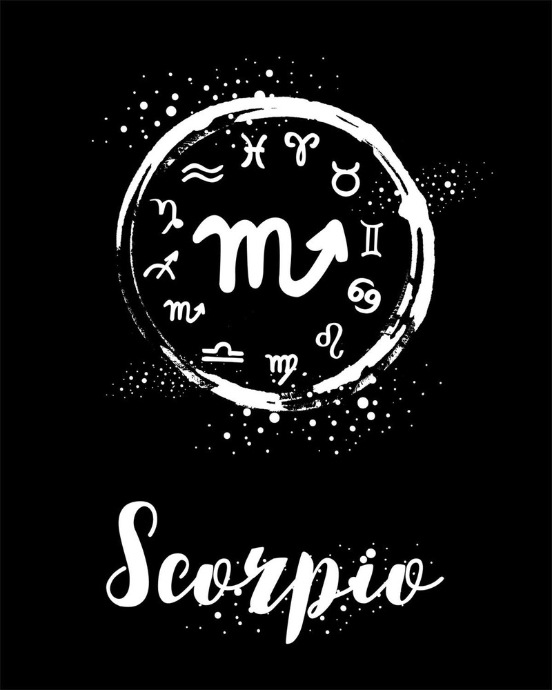 Scorpio The Scorpion BLACK Fearless Ambitious Dynamic Zodiac Astronomy -MAGNET