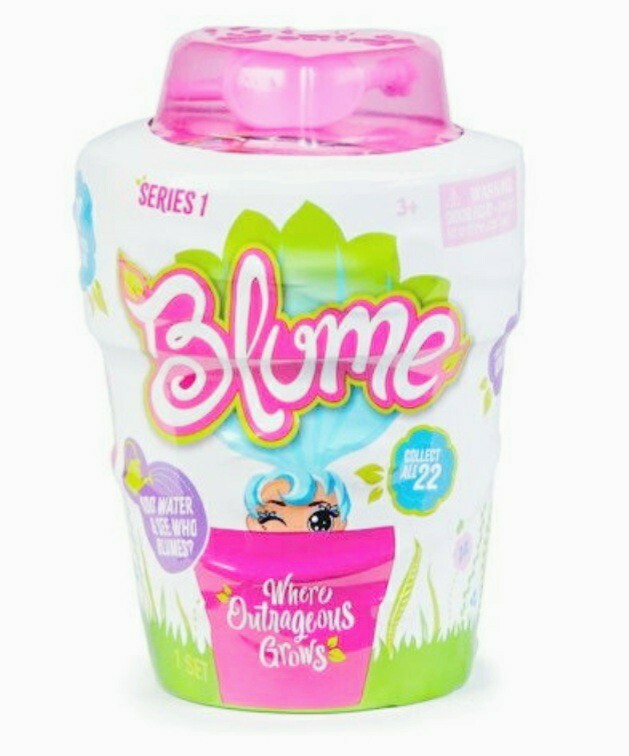 Skyrocket Blume Doll Add Water & See Who Grows mystery packaging