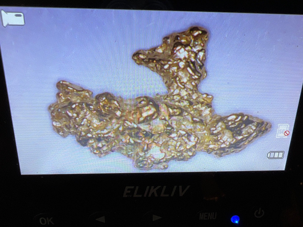 0.227 gram Alaskan GOLD NUGGET!!