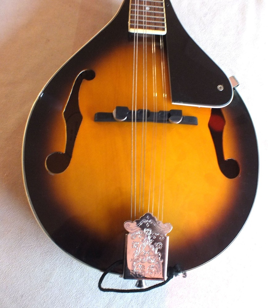 Nice Johnson Oval Hole Mandolin Model MA-100
