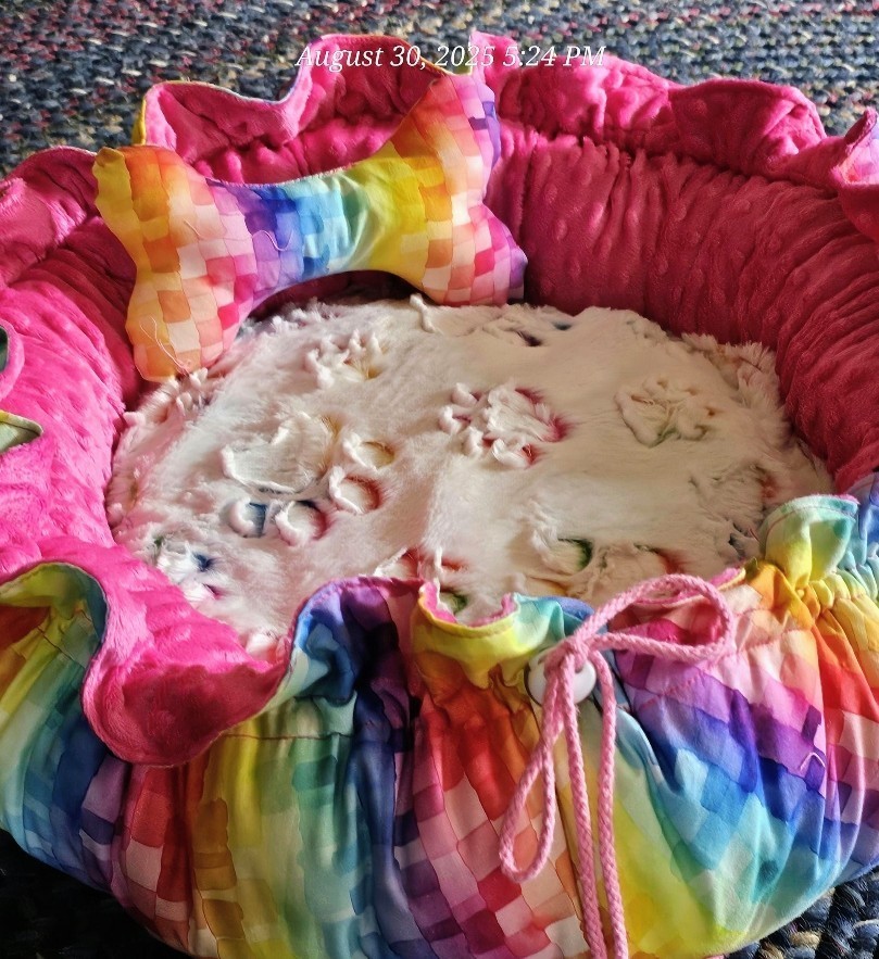 Hand crafted beautiful pet bed