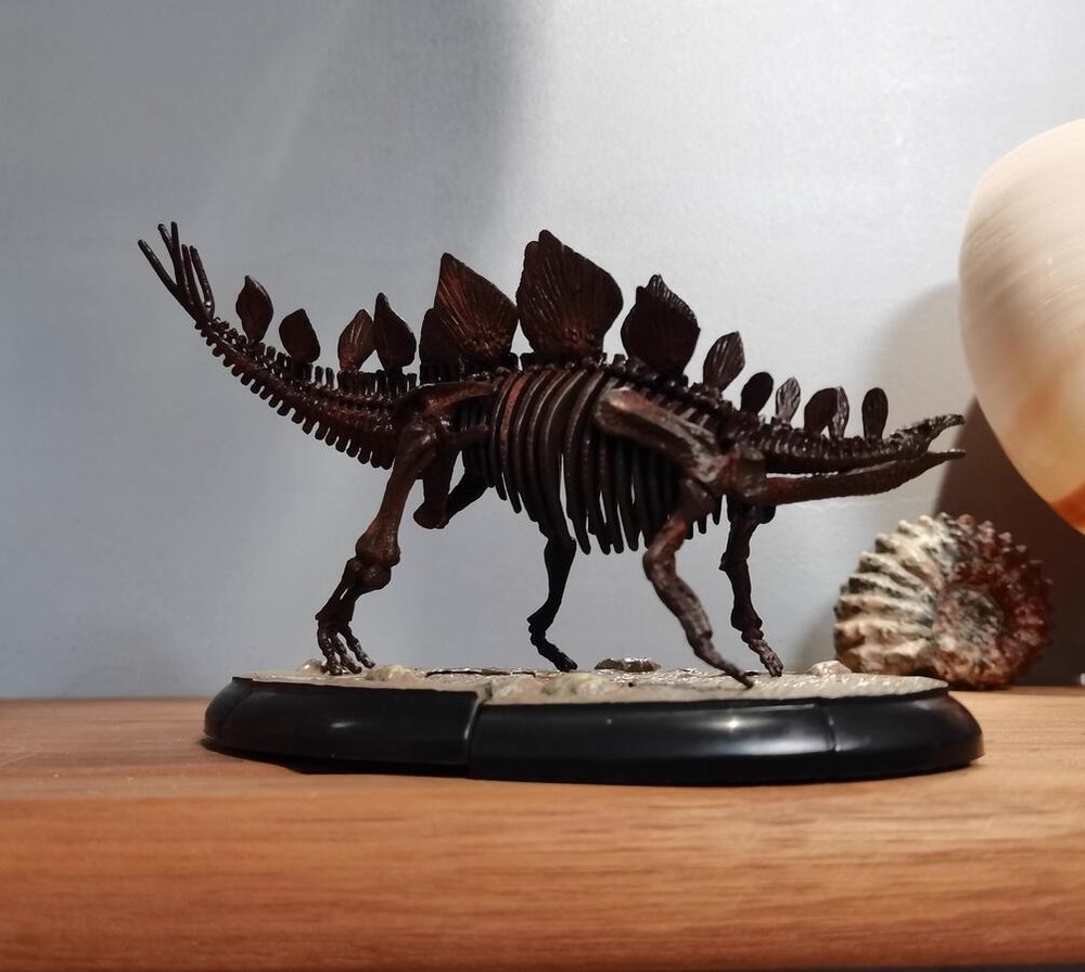 Stegosaurus Skeleton Model Dinosaur Model Statue Display Animal Model