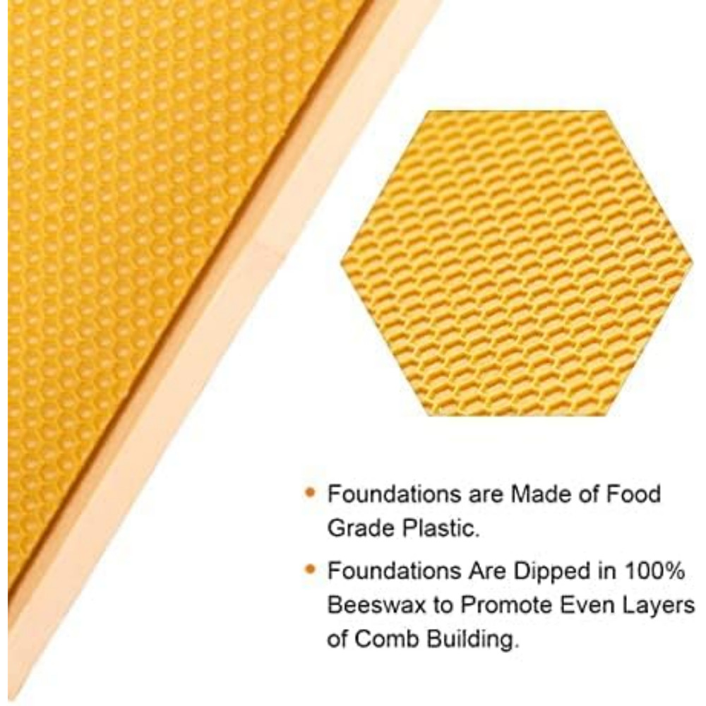 10 Frame Langstroth Medium Bee Hive Box Wax Coated Unassembled Frames Kit