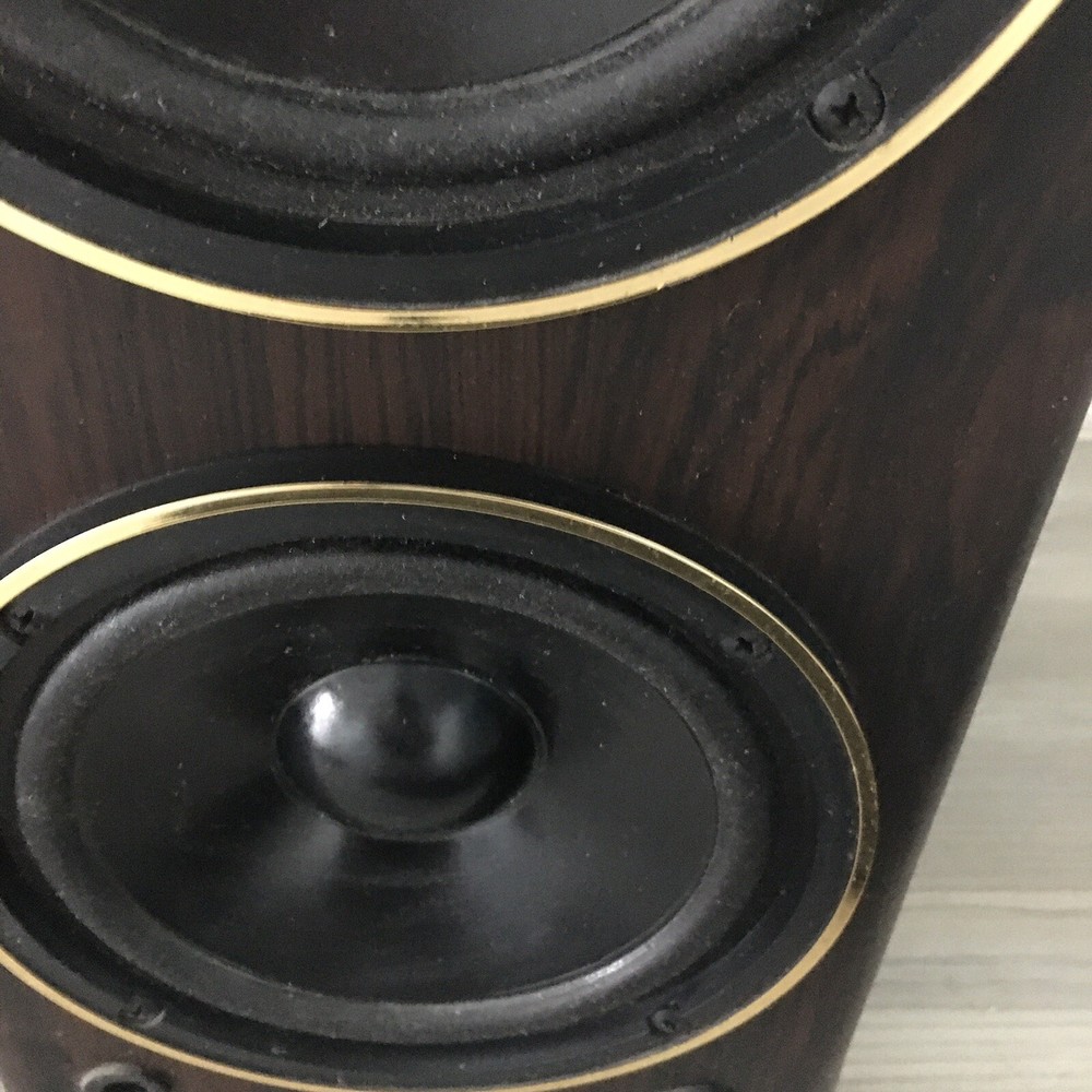 Vintage Fisher 2 Way Speaker System D2 - Untested