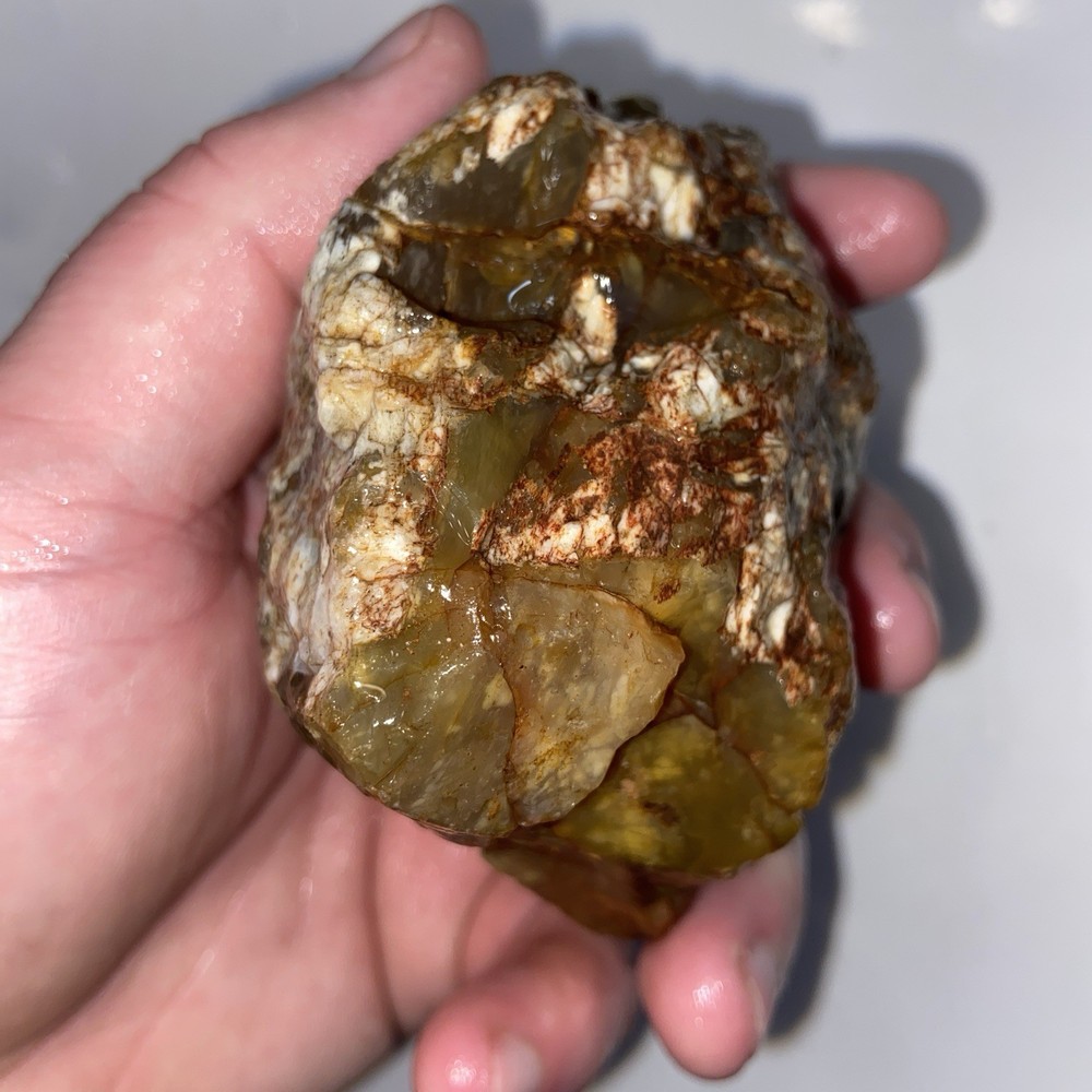 Cornflake Carnelian Unique Rough Lapidary Material 1 Pound 1.1 Oz