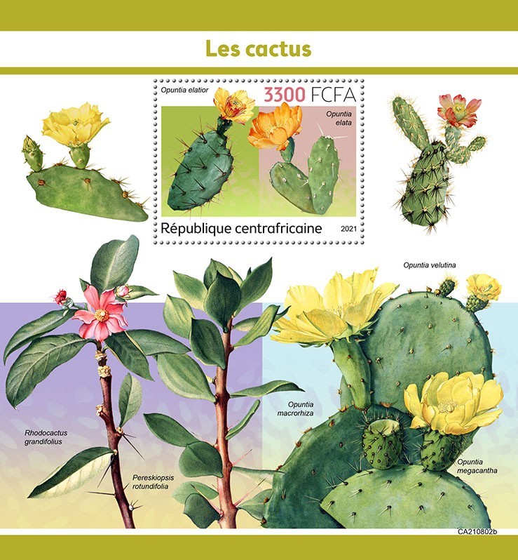 Cactus