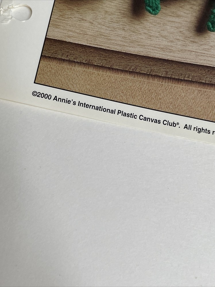 Leprechaun Home Deor Annie's Plastic Canvas Pattern