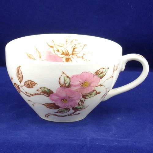 Nasco Springtime Tea Cup