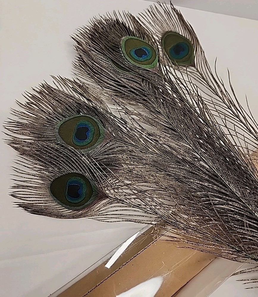 Artificial Peacock Feathers 21" (15 Pieces)