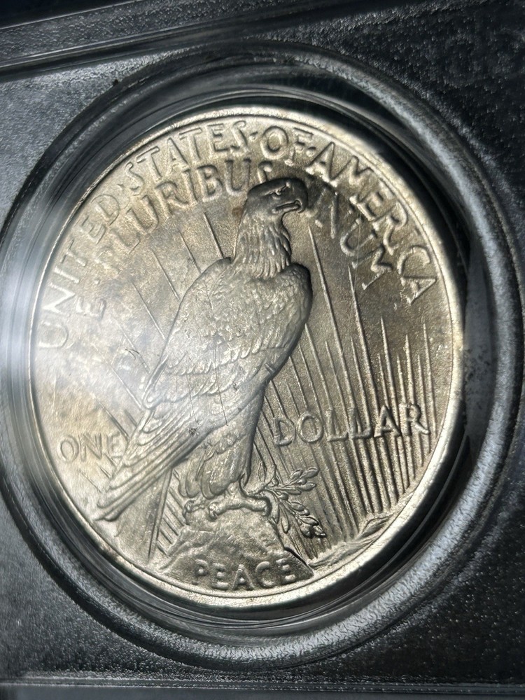 1923 $1 Peace Silver Dollar PCGS MS 64 CAC Older Solid Blue Label