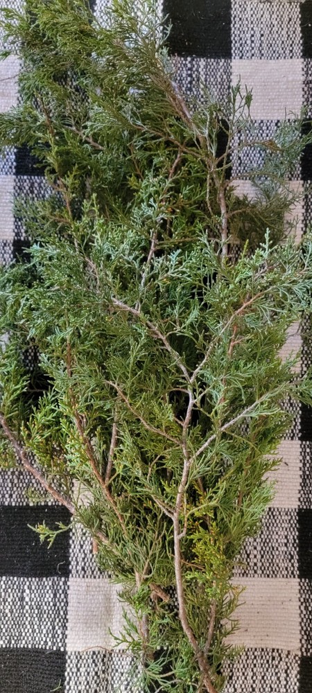 Fresh Cut Christmas Greenery
