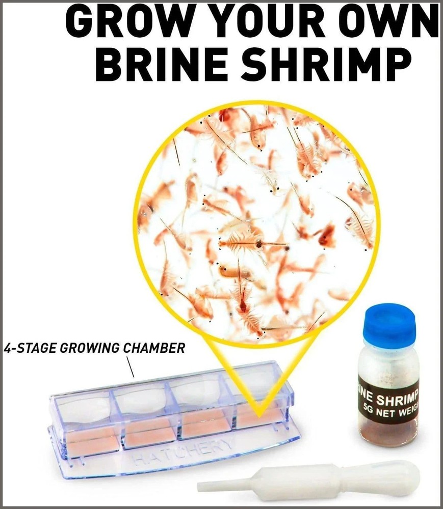 NEW Ultimate Dual Microscope National Geographic