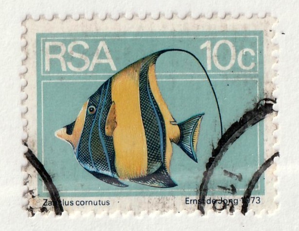 South Africa         416         used           Fish