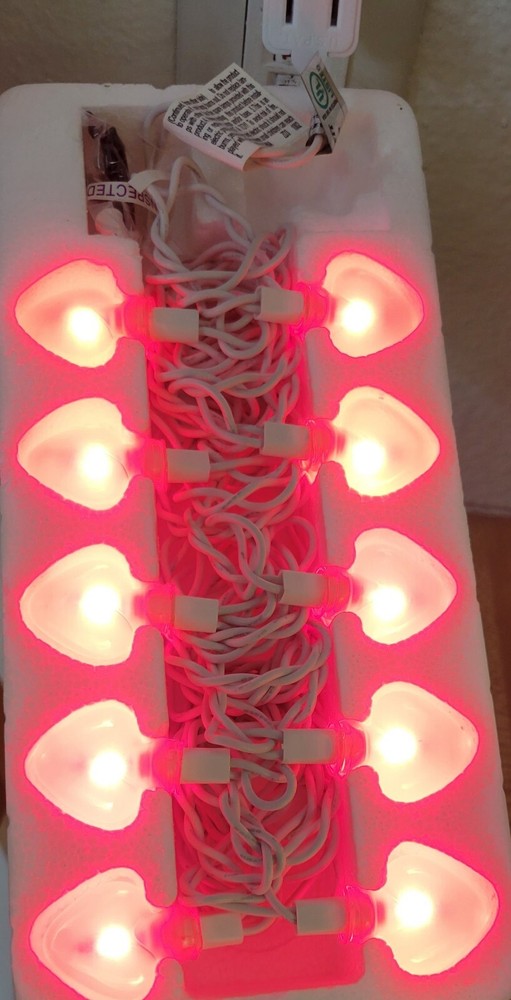 Valentine String Lights 10 Frosted Glass Hearts