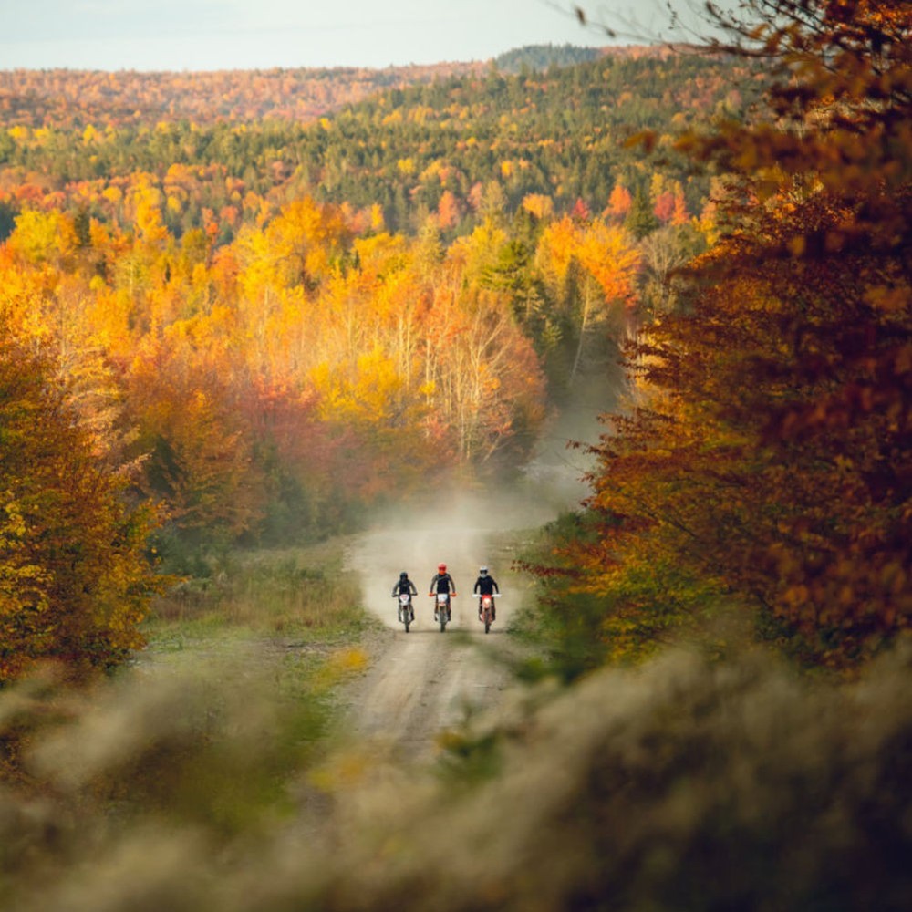 Acerbis 25MM Tie Down Straps Red