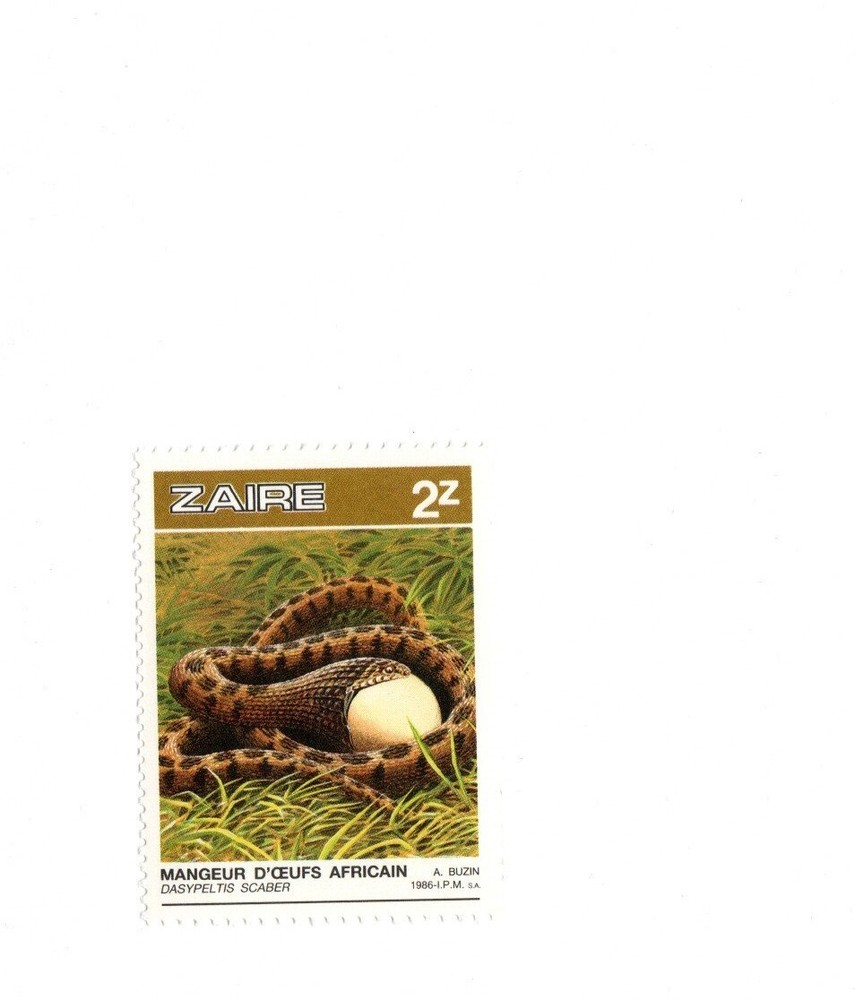 ZAIRE MNH REPTILE POSTAGE STAMP # 2