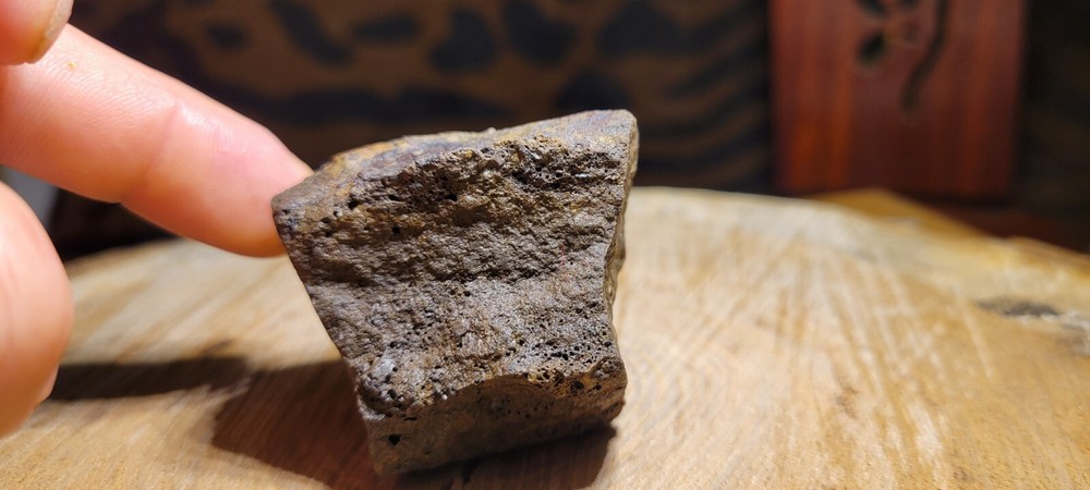 Petrified Wood 90g MI