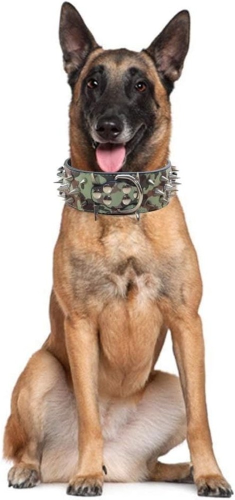 Spiked Collar for Pitbull Rottweiler
