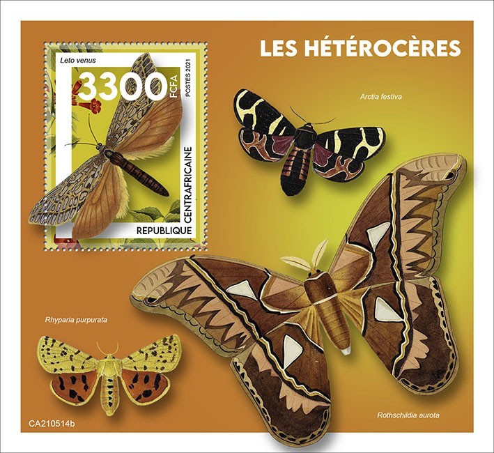 Moths
