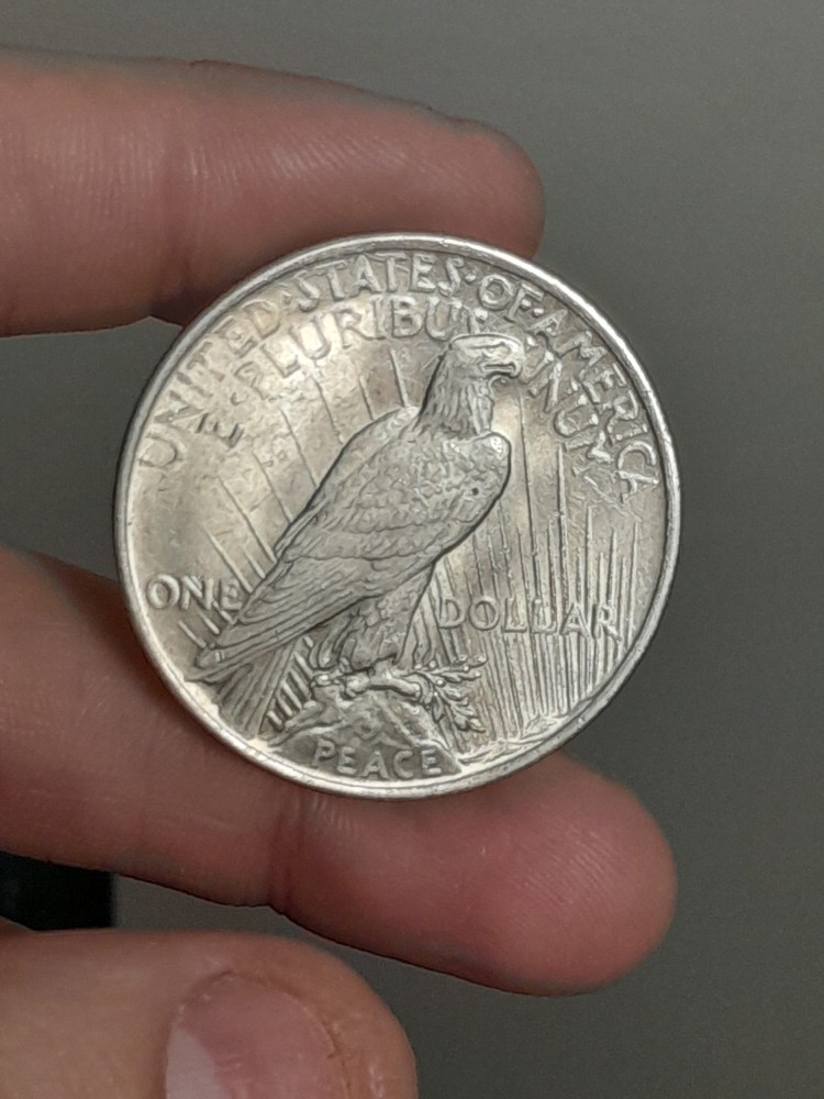 1923- P Peace Silver Dollar