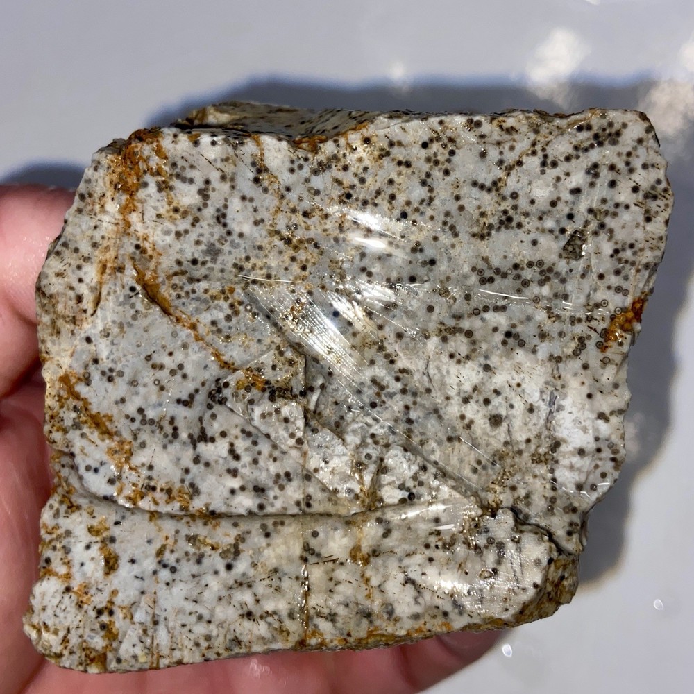 Oolite Agate Rough Lapidary Stone 1 Pound 3 Oz